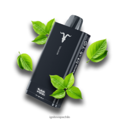 IGNITE Chile - IGNITE V150 pluma vaporizador mentol 8VN0T072