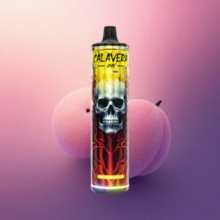 JNR Calavera 11000 Durazno Mango Tipo-C 850mAh 5% Nicotina
