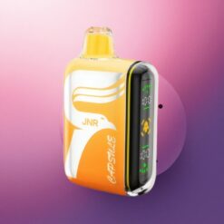 JNR Capsule 15000 Sandía Irchee 20ml 850mAh Dual Mesh