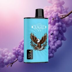 JNR EAGLE Smart 23000 Helado de Arándano con 750mAh y Contenido de Nicotina 2%