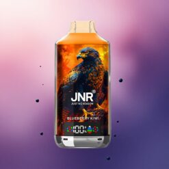JNR Falcon X 18000 Arándano Kiwi 750mAh Dual Mesh
