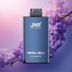JNR Mega Box 25000 Helado de Arándano con 30ml y 850mAh