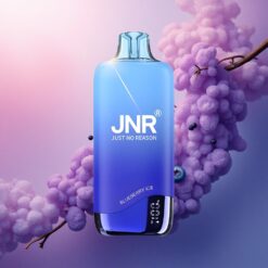 JNR Rainbow 10500 Helado de Arándano 600mAh 0% Nicotina