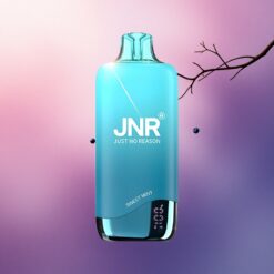 JNR Rainbow 10500 Menta Dulce 600mAh 18ml Nicotina 5%