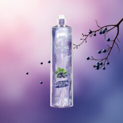 JNR Shisha Hookah 12000 Menta Arándano con 750mAh y 0% Nicotina